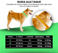 COLLARE RAINBOW Respet