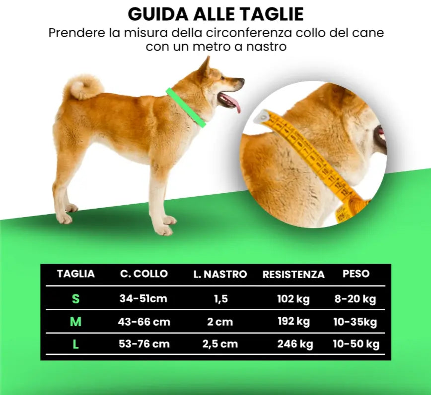 COLLARE RAINBOW Respet