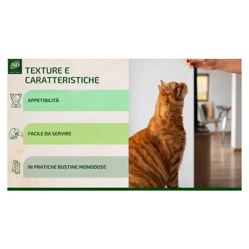 Farmina Vet life Diabetic Cat Cream Pollo e Tonno 60 gr Farmina