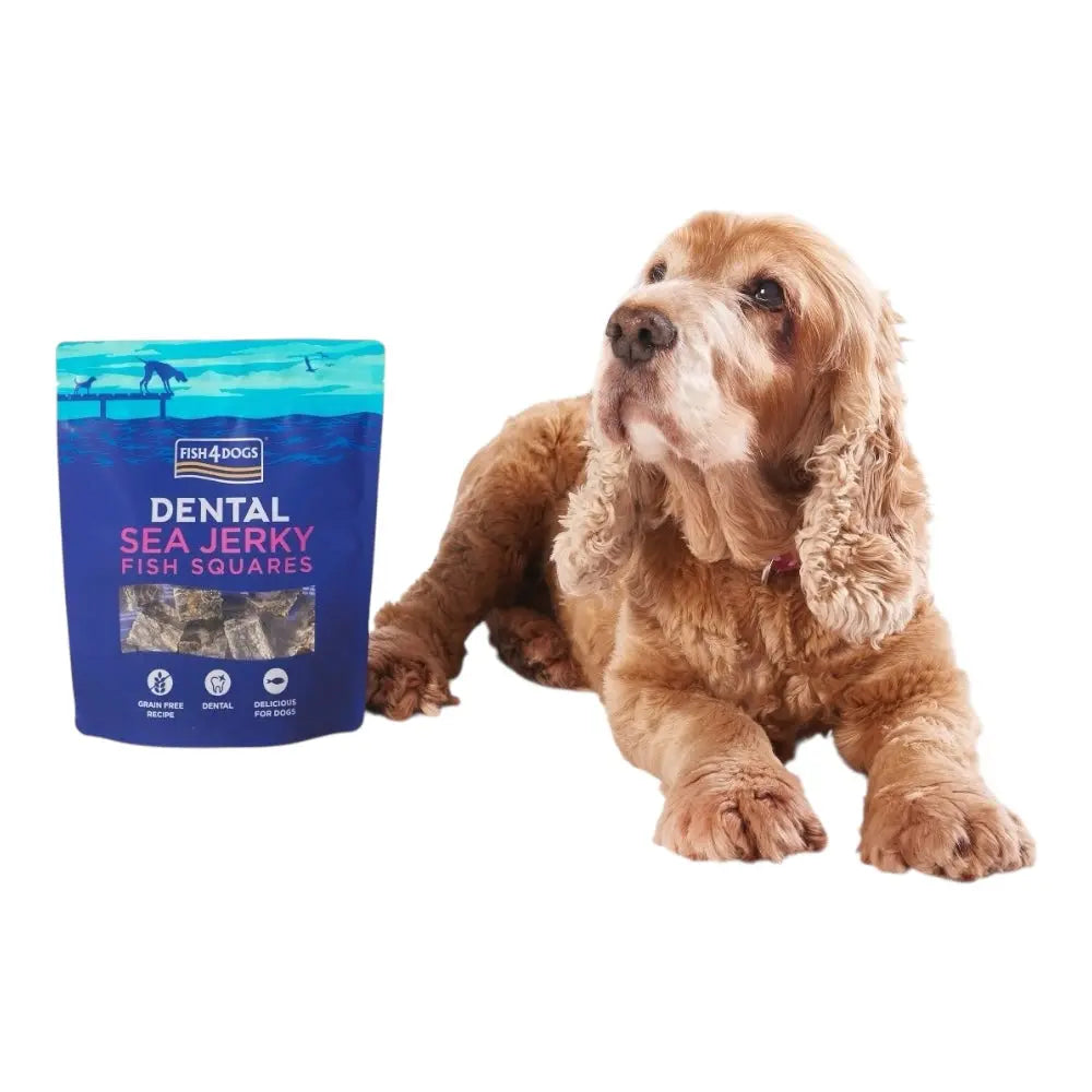 Fish4Dogs Dental Sea Jerky Fish Squares 115g FISH4PET