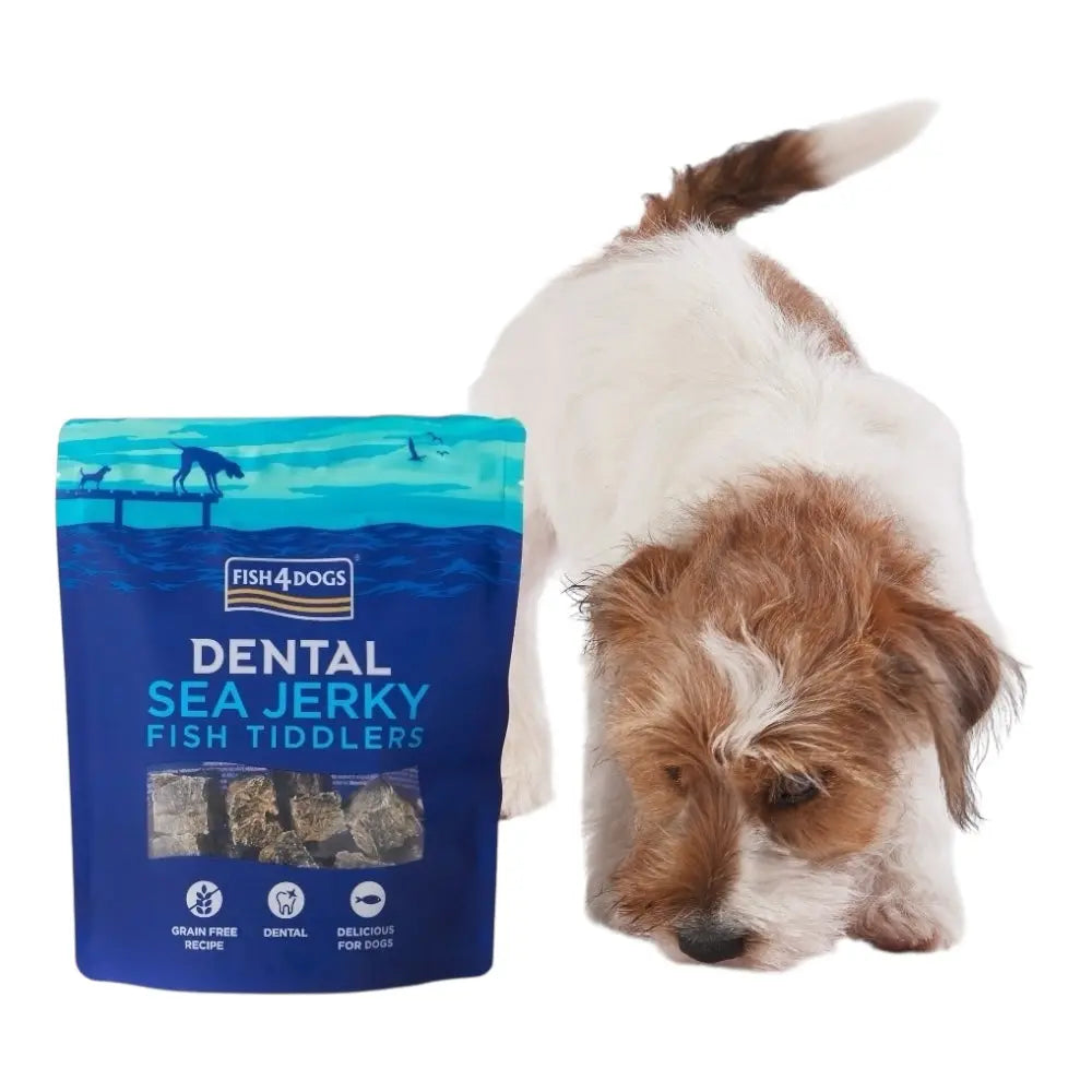 Fish4Dogs Dental Sea Jerky Fish Tiddlers 575g FISH4PET
