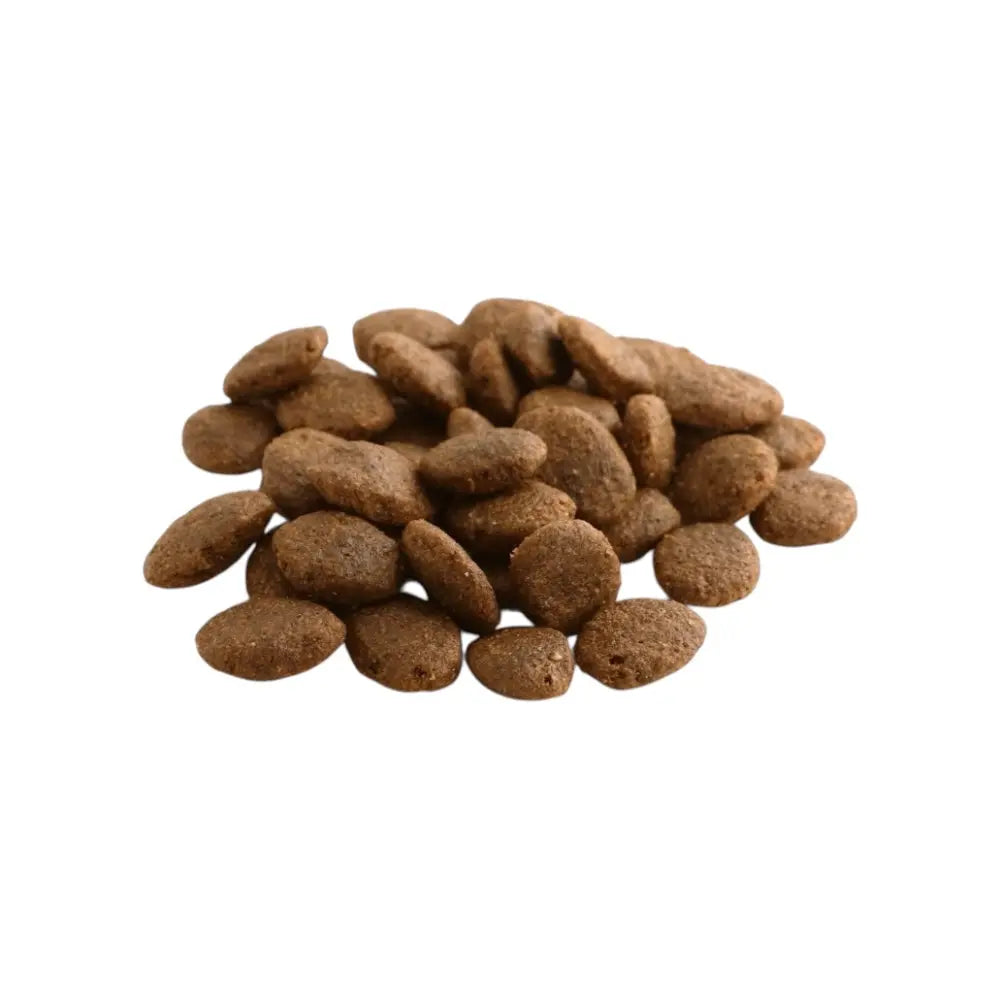 Fish4Dogs Finest Adult Salmon With Potato (Large Kibble) FISH4PET
