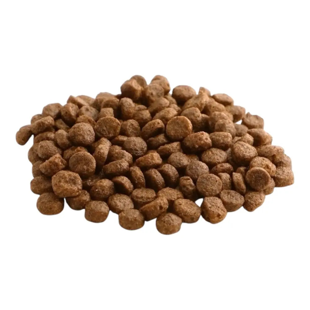 Fish4Dogs Finest Adult Salmon With Potato (Small Kibble) FISH4PET