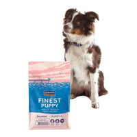 Fish4Dogs Finest Salmon Puppy Large Kibble Fish4Dogs
