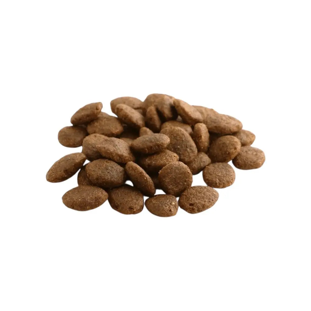Fish4Dogs Finest Senior Salmon with Sweet Potato (Large Kibble) 6kg FISH4PET