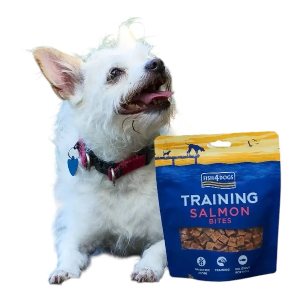 Fish4Dogs Training Adult Salmon Bites 80g FISH4PET