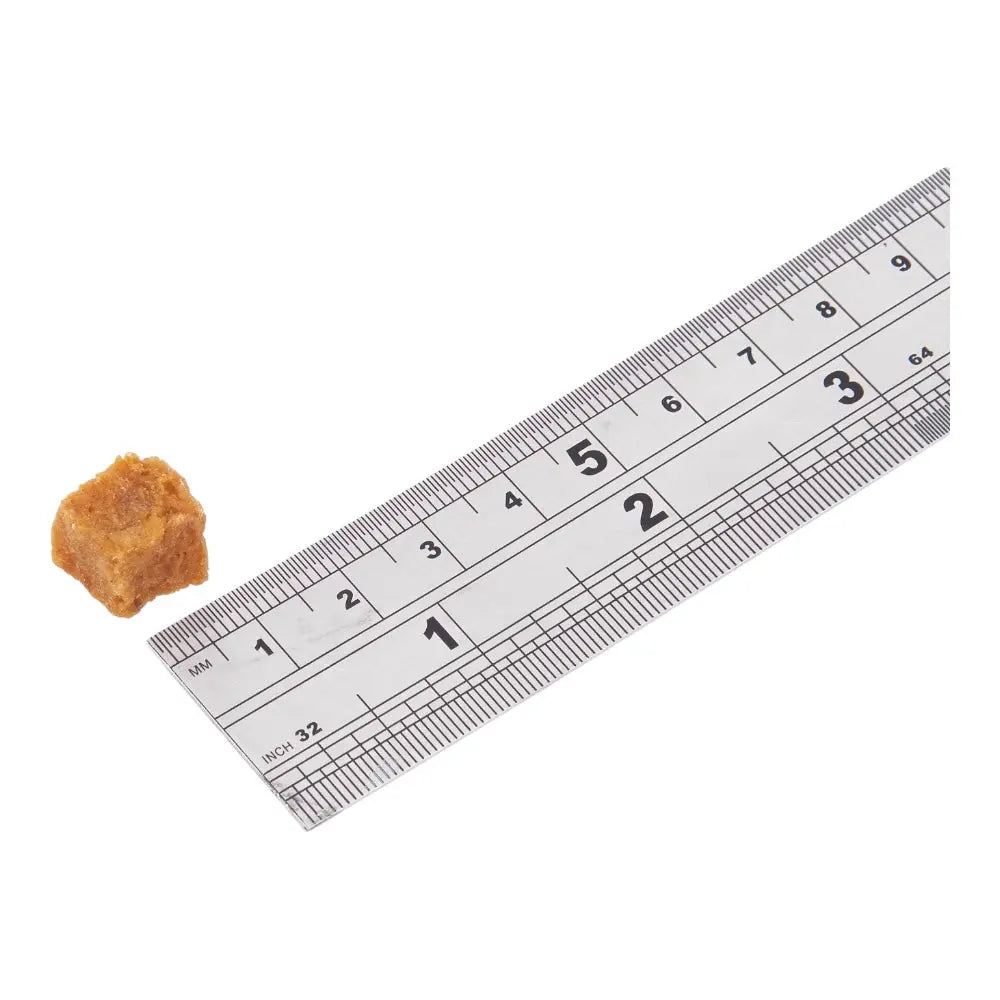 Fish4Dogs Training Adult Salmon Bites 80g FISH4PET