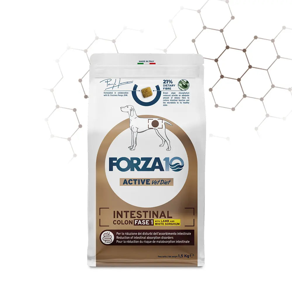 Forza10 Intestinal Colon Fase I Agnello e Sorgo Bianco Forza10