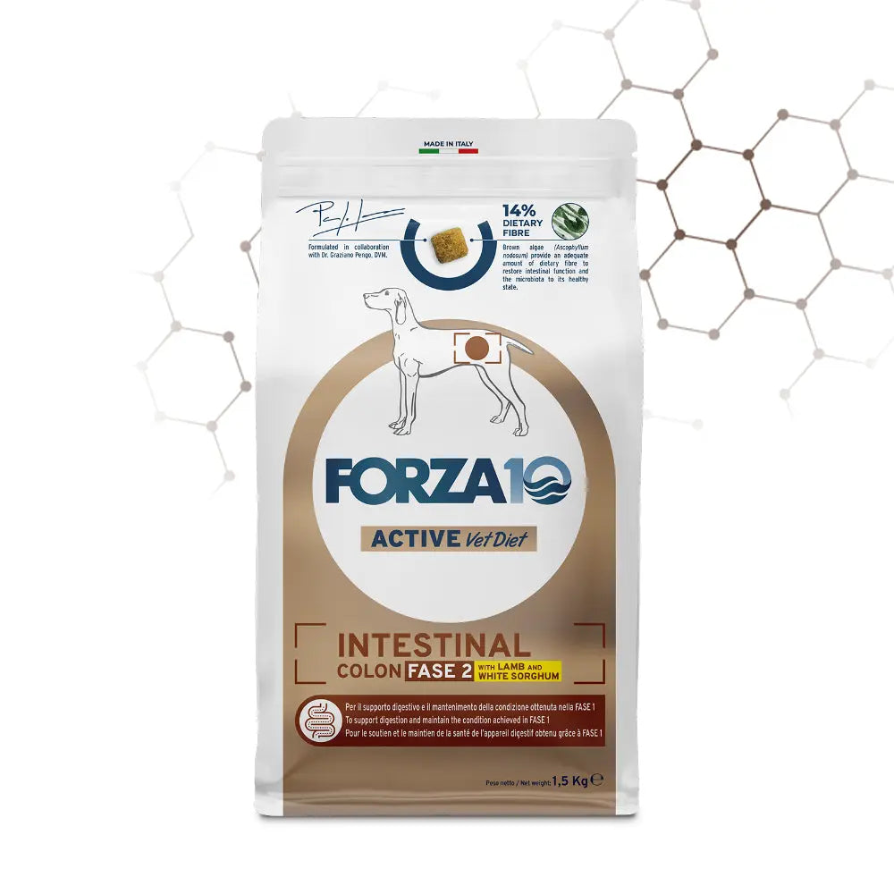 Forza10 Intestinal Colon Fase II Agnello e Sorgo Bianco Forza10
