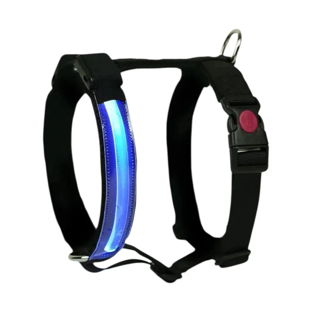 HARNESS H LED Respet