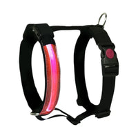 HARNESS H LED Respet