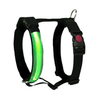 HARNESS H LED Respet