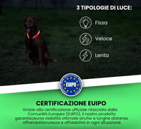 HARNESS H LED Respet