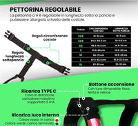 HARNESS H LED Respet