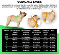 HARNESS H LED Respet