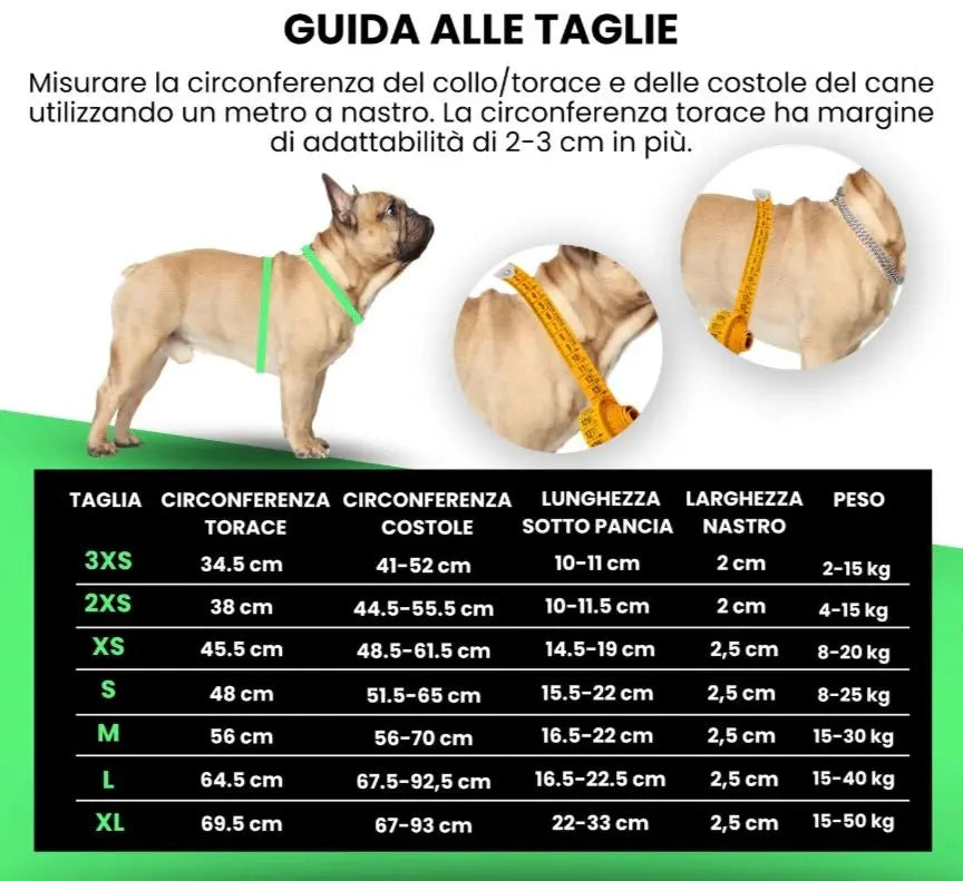 HARNESS H LED Respet
