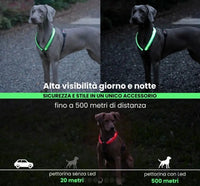 HARNESS H LED Respet