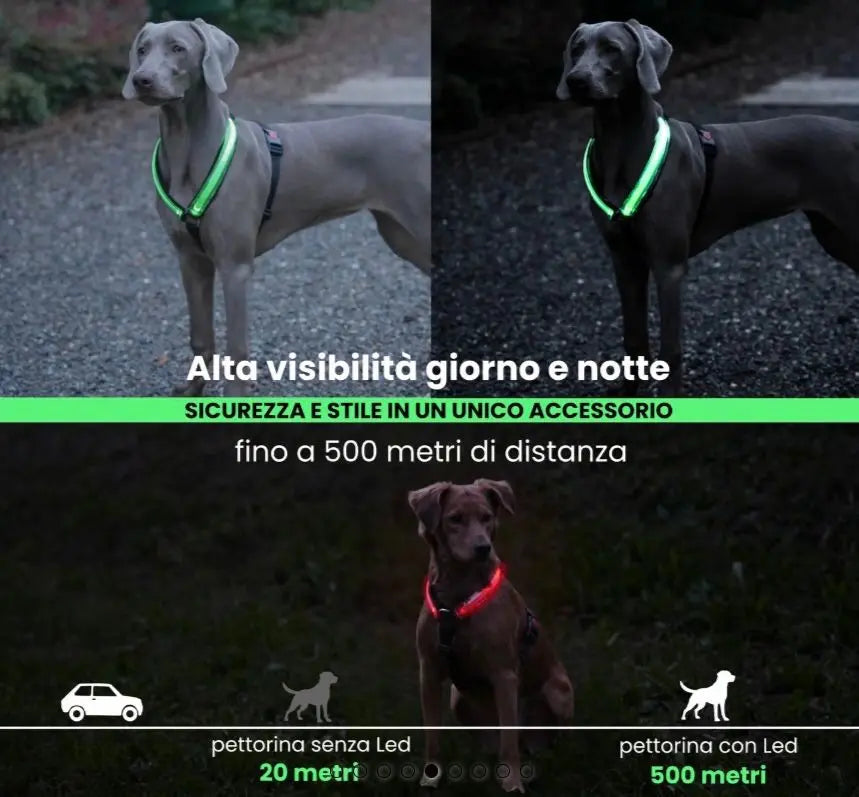 HARNESS H LED Respet