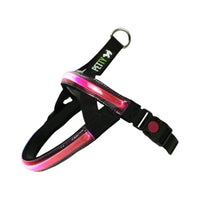 HARNESS NORWEGIAN LED Respet