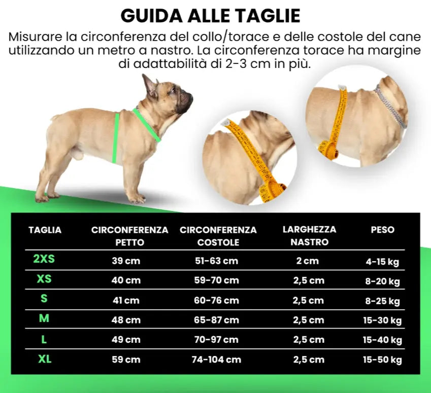 HARNESS NORWEGIAN LED Respet