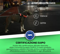 HARNESS NORWEGIAN LED Respet