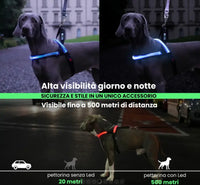 HARNESS NORWEGIAN LED Respet