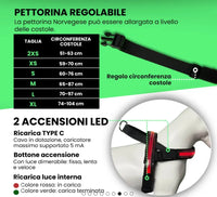 HARNESS NORWEGIAN LED Respet