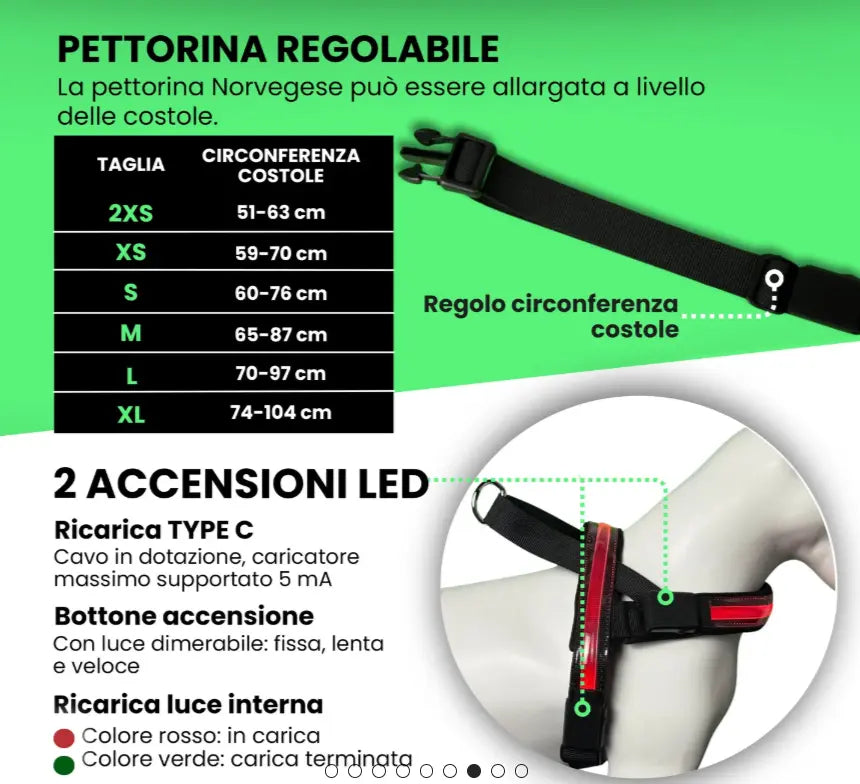 HARNESS NORWEGIAN LED Respet
