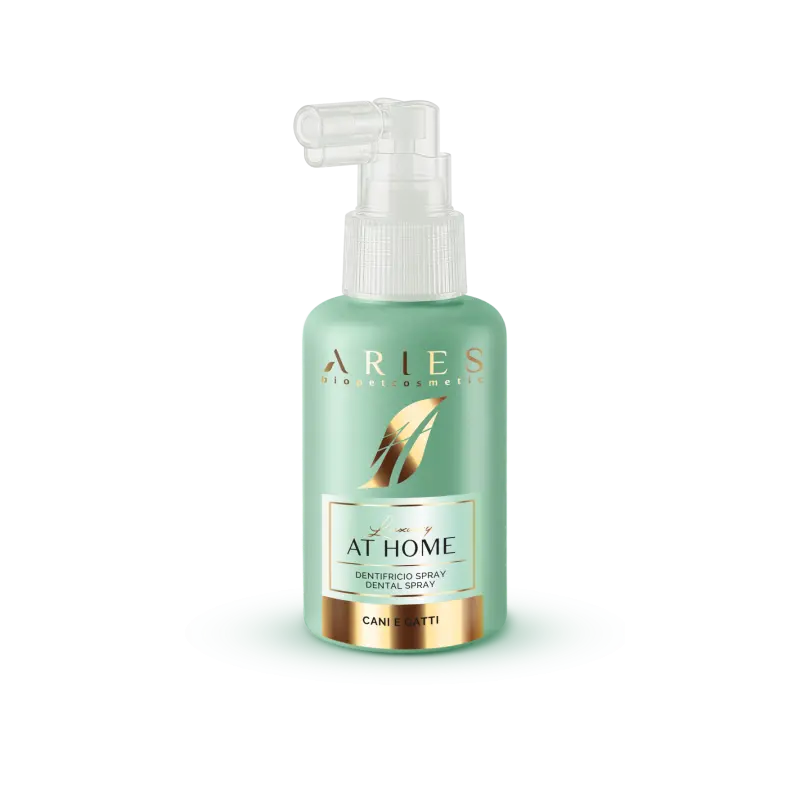LUXURY HOME DENTAL SPRAY 100 ML Respet