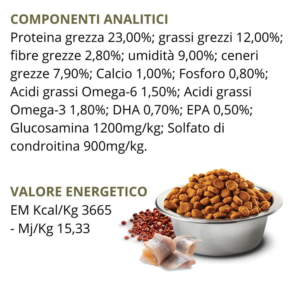 N&D Quinoa Skin & Coat Aringa, Cocco & Curcuma Farmina