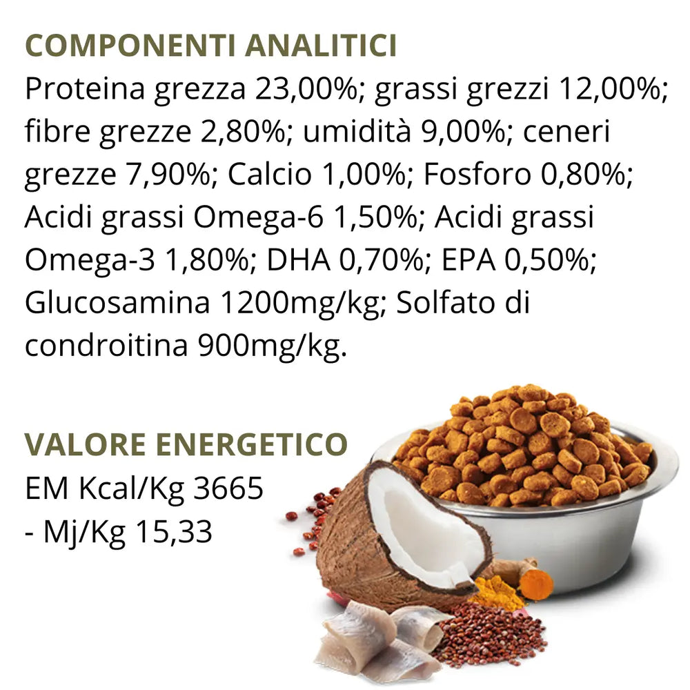 N&D Quinoa Skin & Coat Aringa, Cocco & Curcuma Farmina