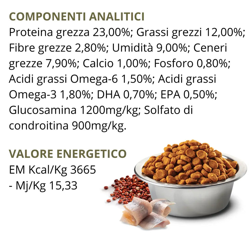 N&D Quinoa Skin & Coat Aringa, Cocco e Curcuma Farmina