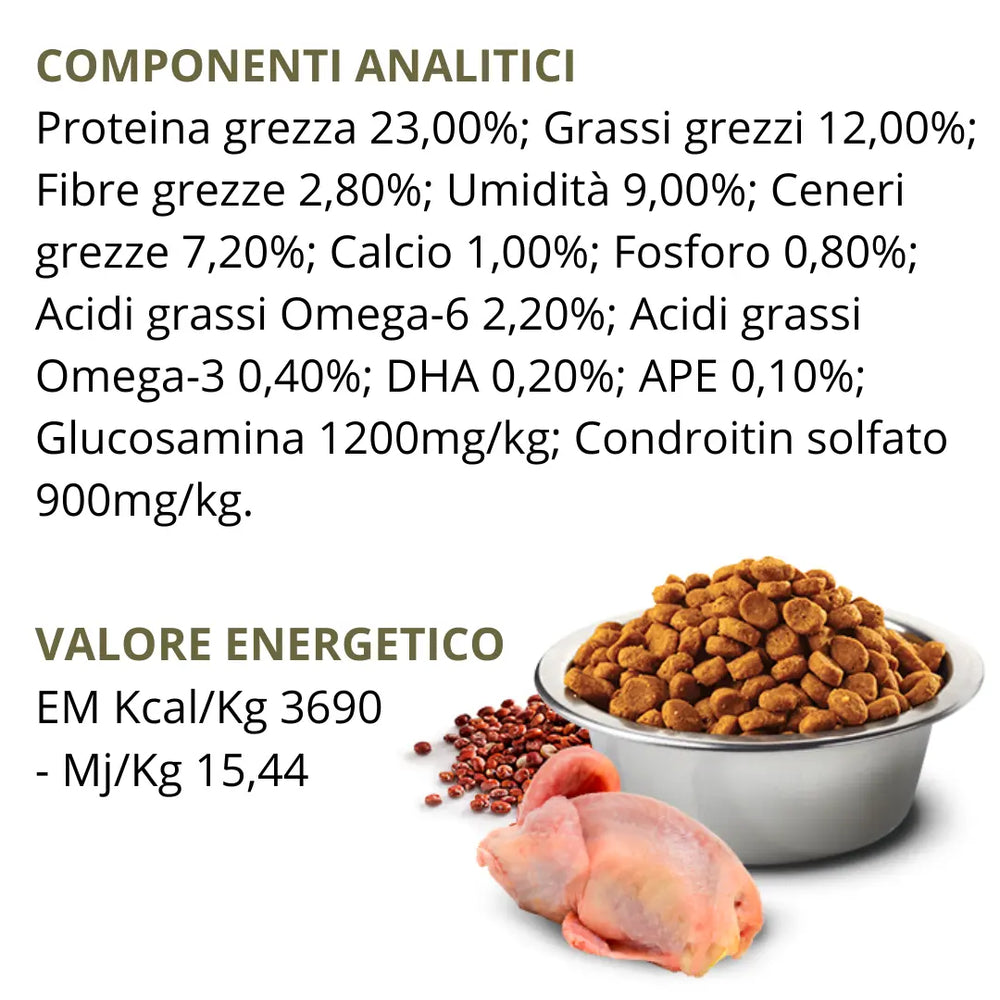 N&D Quinoa Skin & Coat Quaglia, Cocco & Curcuma Farmina