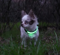 RICAMBIO LED COLLARE BIOTHANE Respet