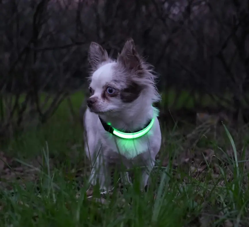 RICAMBIO LED COLLARE BIOTHANE Respet