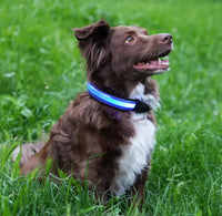 RICAMBIO LED COLLARE BIOTHANE Respet