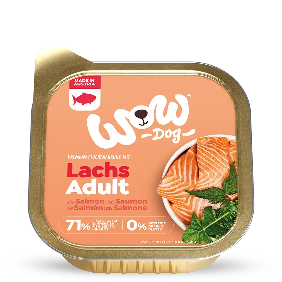 Wow Dog ADULT Salmone Wow Dog